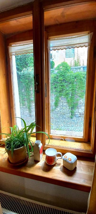 Penzion Merlin Český Krumlov Exterior foto